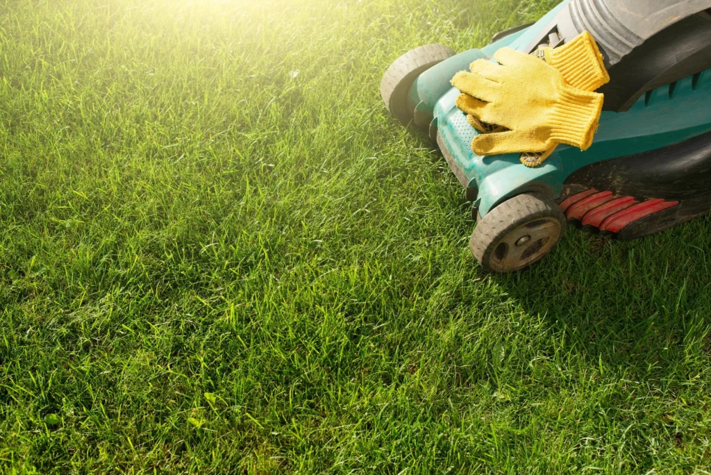 Lawn care professional mowing a residential lawn with a red push mower on a sunny day.