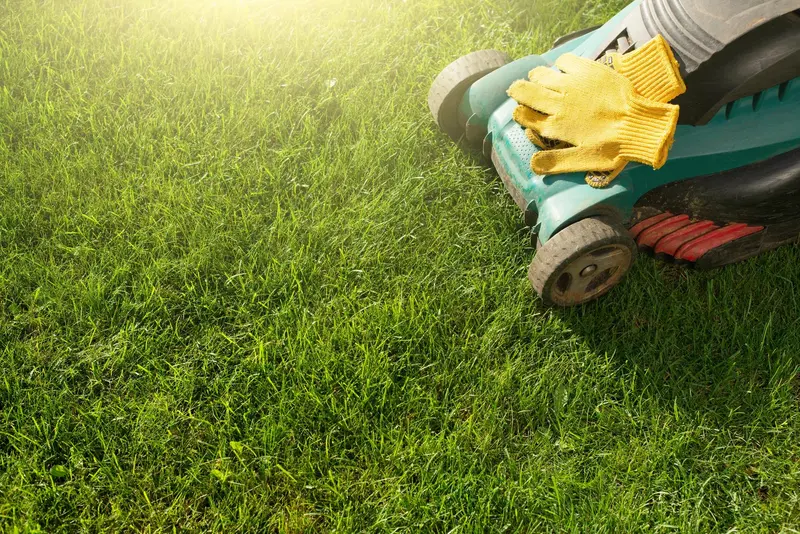 Pielęgnacja Trawnika