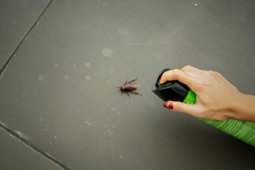 Technician performing insect control and disinsection inside an aircraft cabin