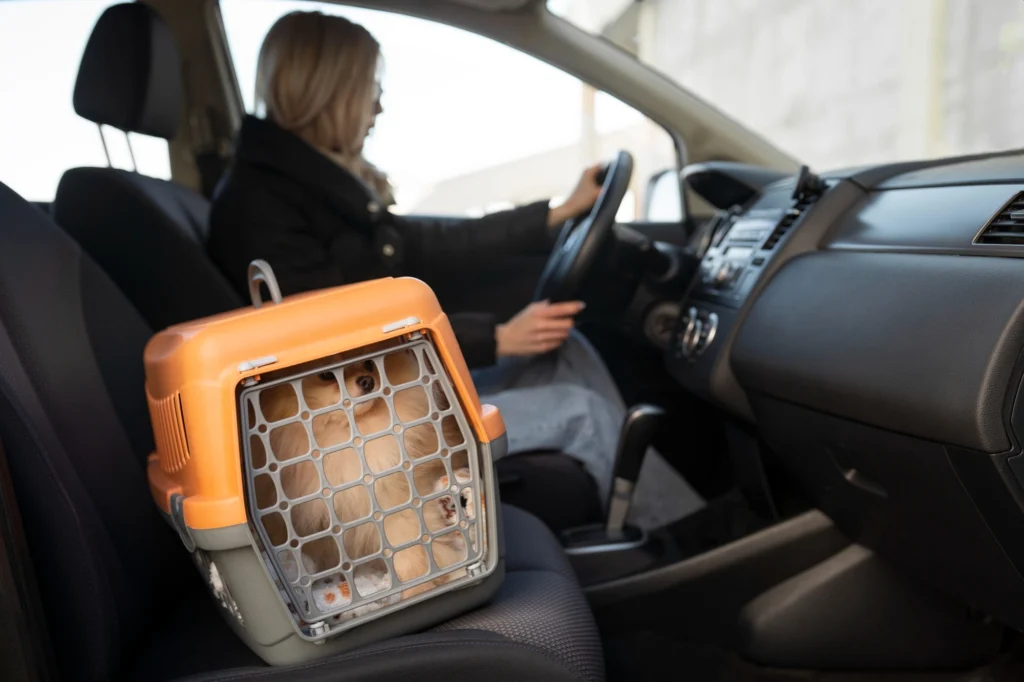 Professional driver loading a dog in a carrier into an animal transport van