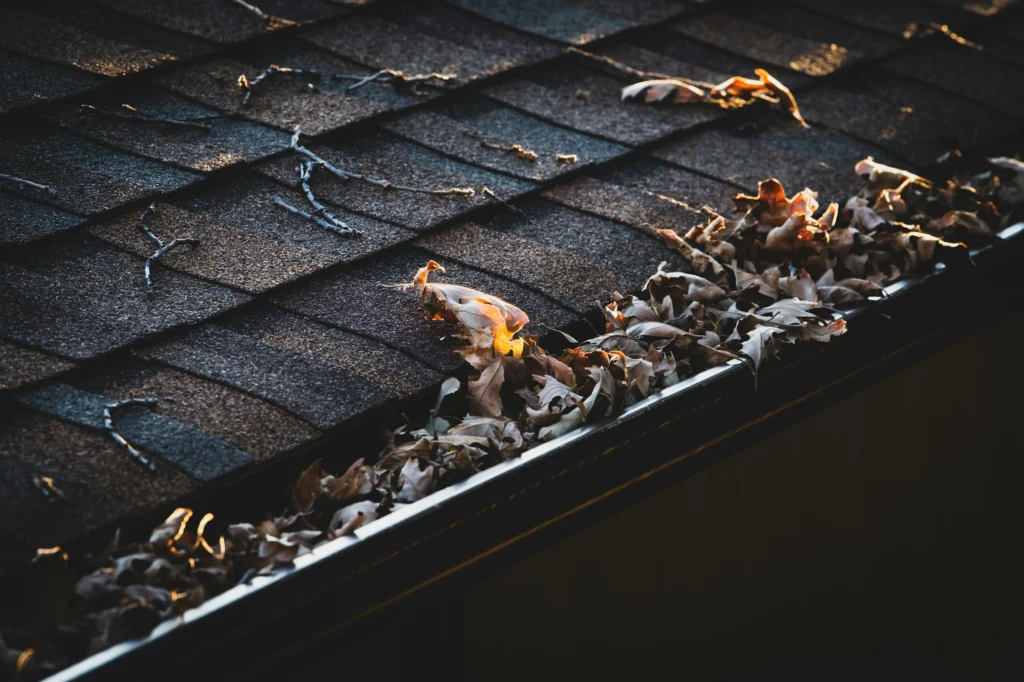 Technician cleaning gutters on a rooftop using ladder and safety gear — Shifton Field Service
