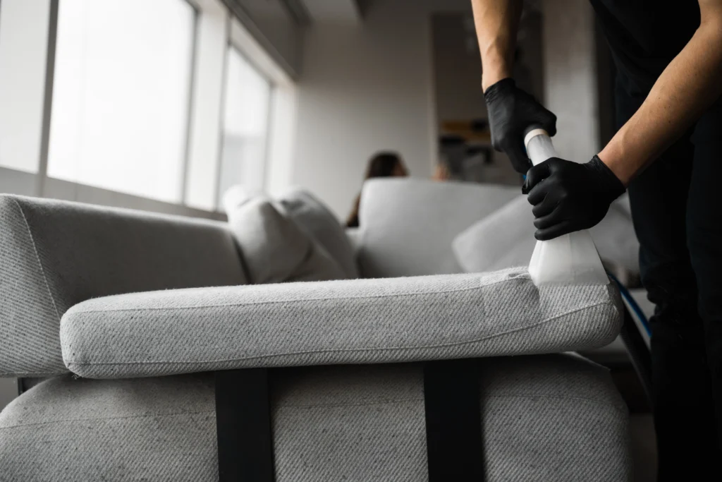 Cleaning specialist using a vacuum extractor to clean a sofa in a living room