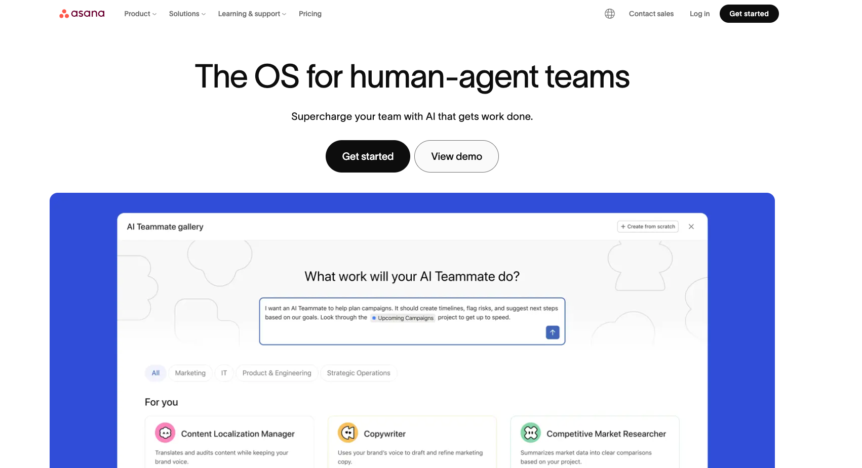 Asana team management software showing project tasks and timeline